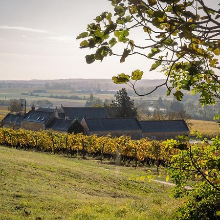 Panzoult Domaine Beausejour B&B 외부 사진