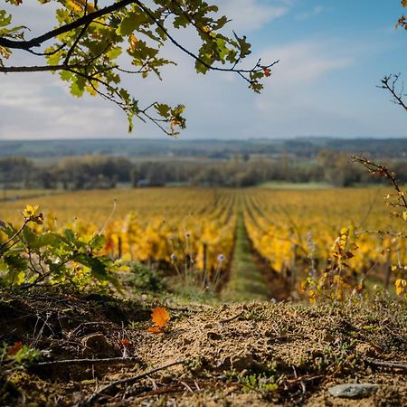 Panzoult Domaine Beausejour B&B 외부 사진