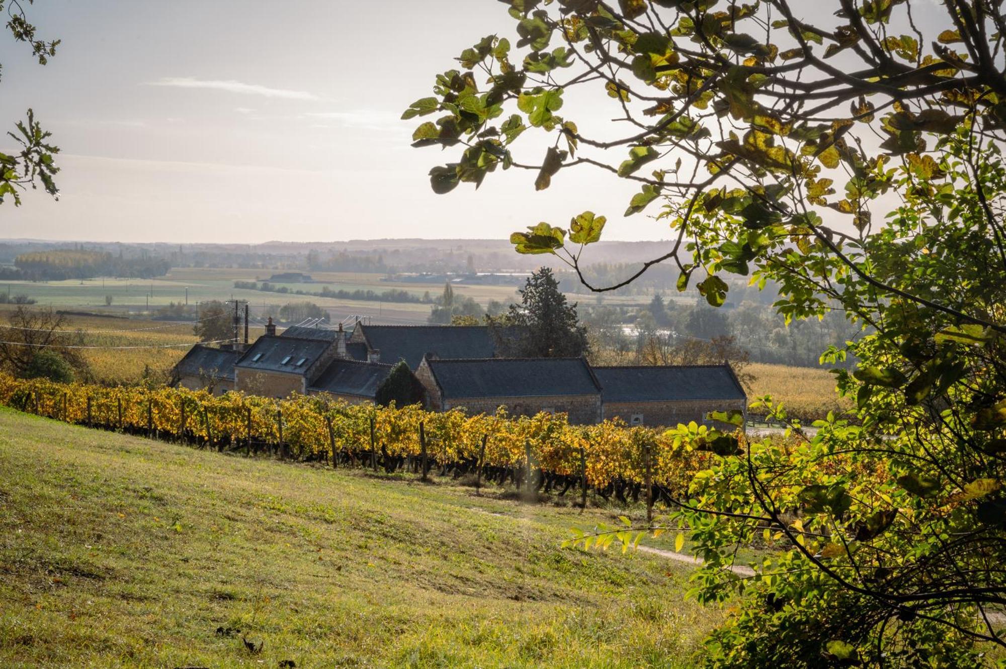 Panzoult Domaine Beausejour B&B 외부 사진