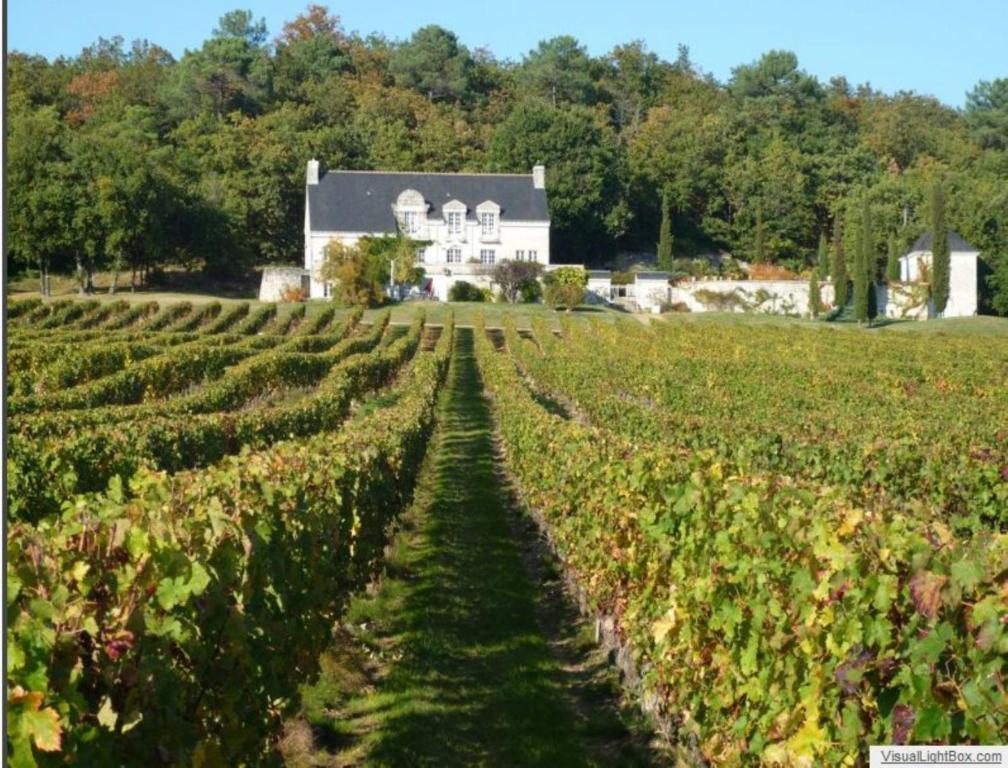 Panzoult Domaine Beausejour B&B 외부 사진